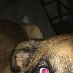 Meet your Posher, Deivison